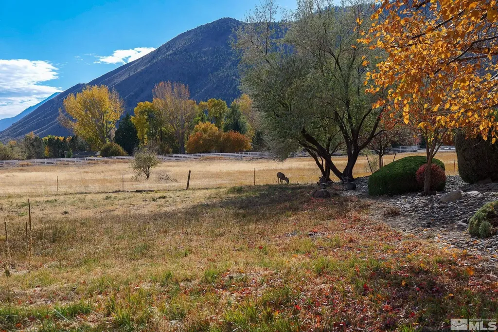 275 Genoa Highlands Genoa NV 89411