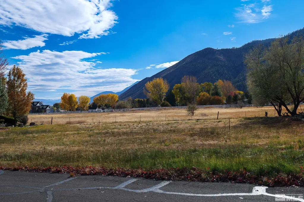 275 Genoa Highlands Genoa NV 89411