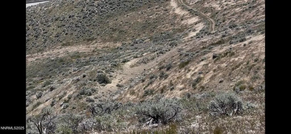 000 No Street Name Reno NV 89511