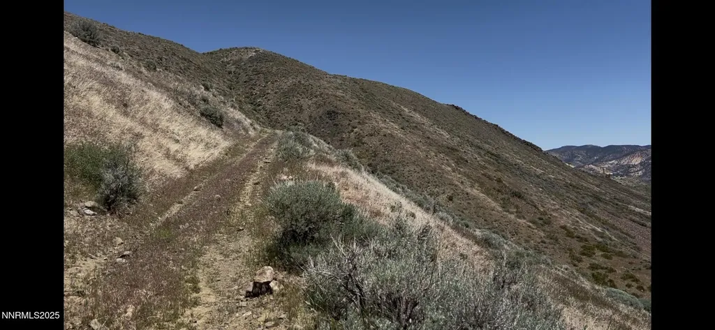 000 No Street Name Reno NV 89511