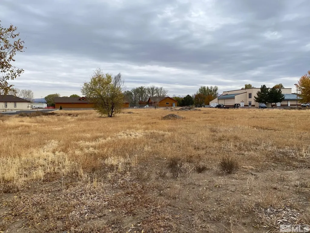 1349 Centerville Gardnerville NV 89410