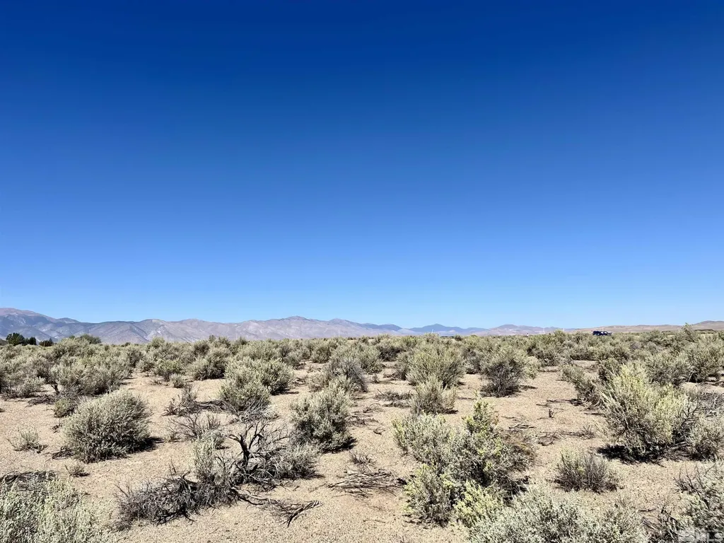 246 Finch Smith NV 89430