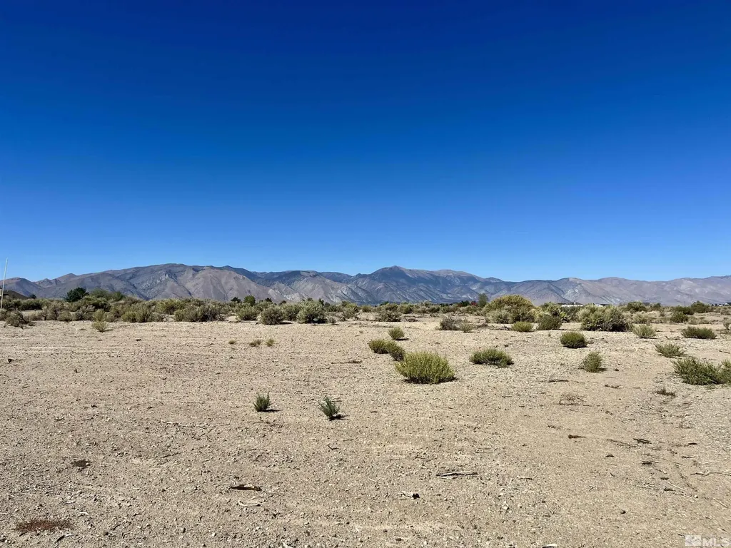 246 Finch Smith NV 89430