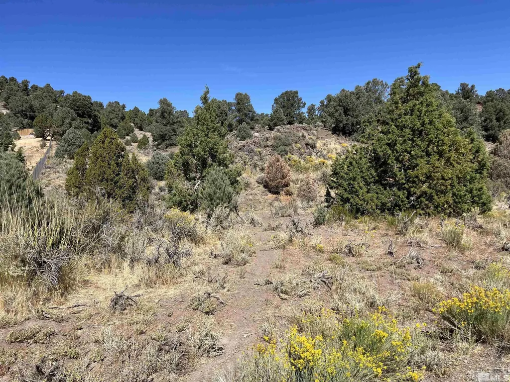 2498 Cartwright Reno NV 89521