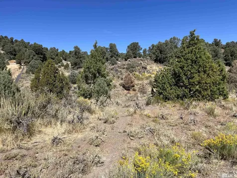 2498 Cartwright Reno NV 89521