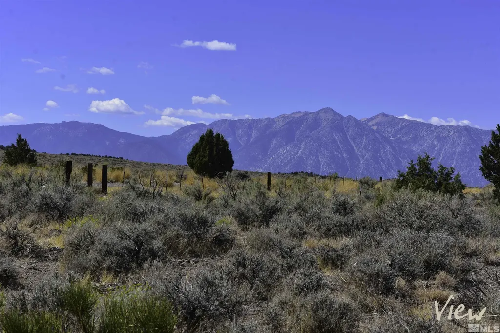 1167 Out-r-way Gardnerville NV 89410