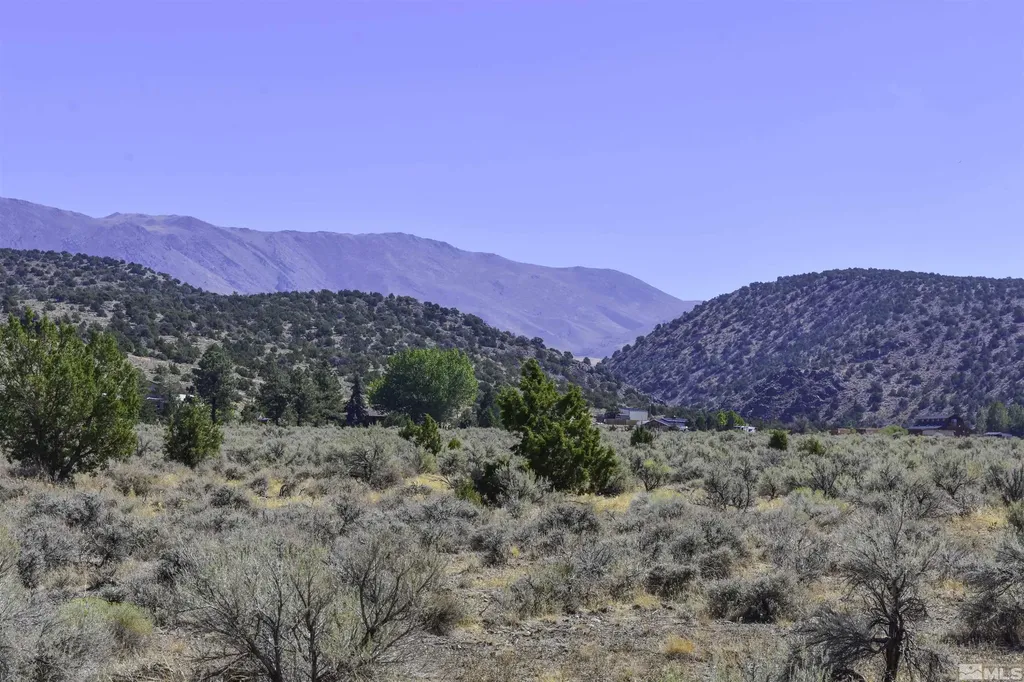 1167 Out-r-way Gardnerville NV 89410