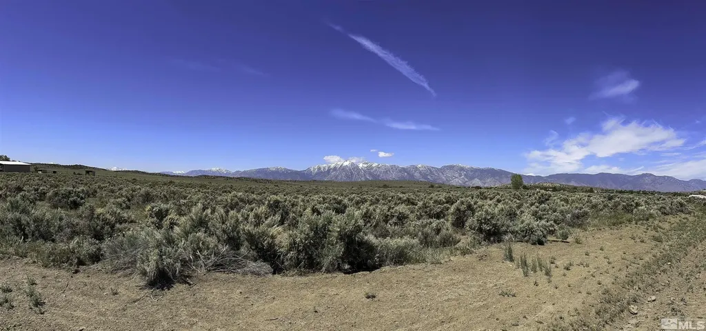 Tbd Bray Gardnerville NV 89410