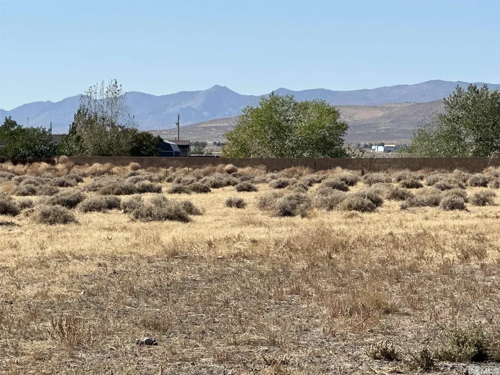01516108 Idaho Silver Springs NV 89429