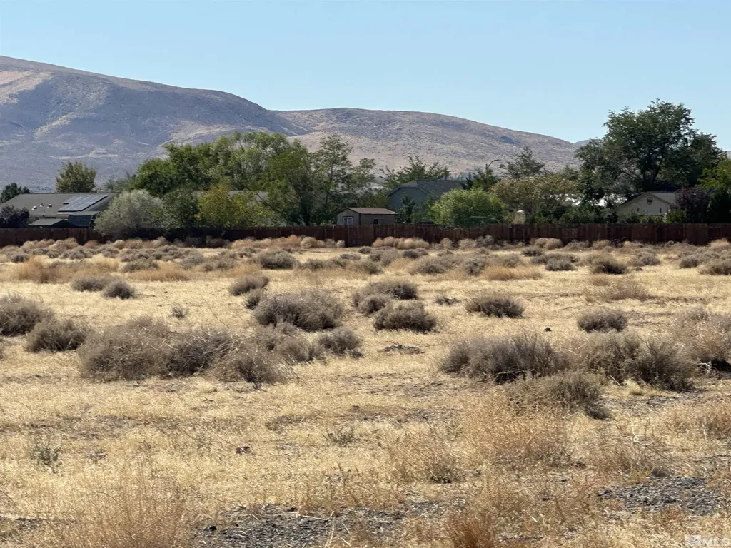 01516108 Idaho Silver Springs NV 89429