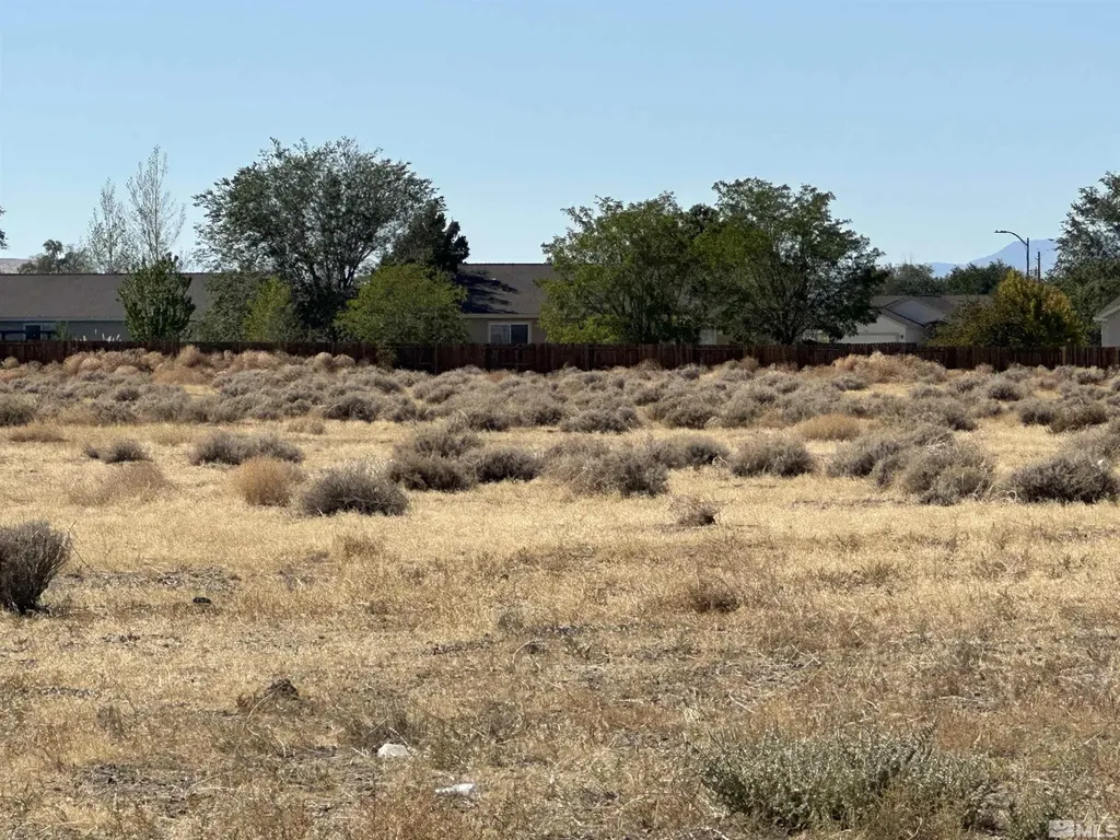 01516108 Idaho Silver Springs NV 89429