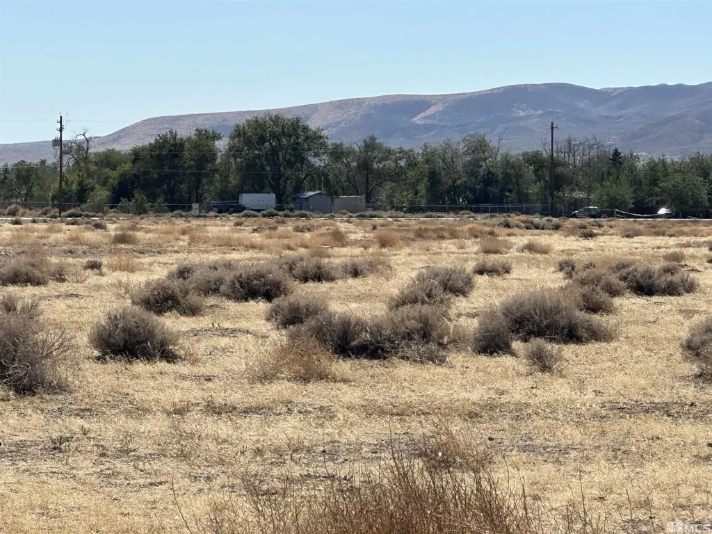 01516108 Idaho Silver Springs NV 89429