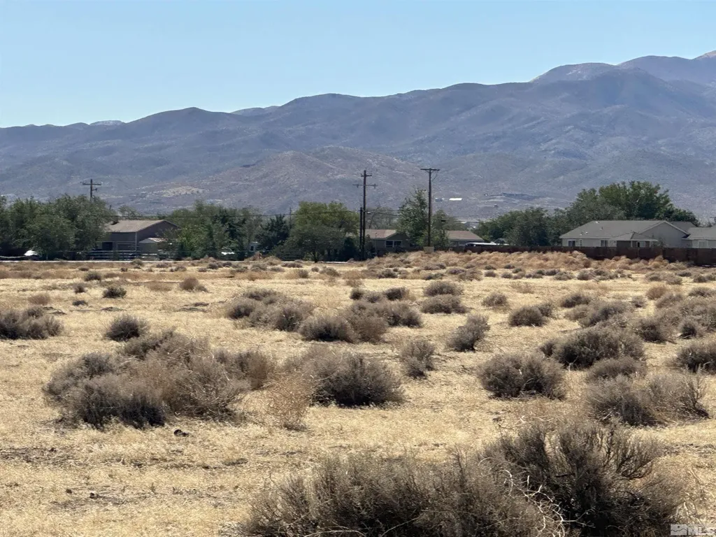 01516108 Idaho Silver Springs NV 89429