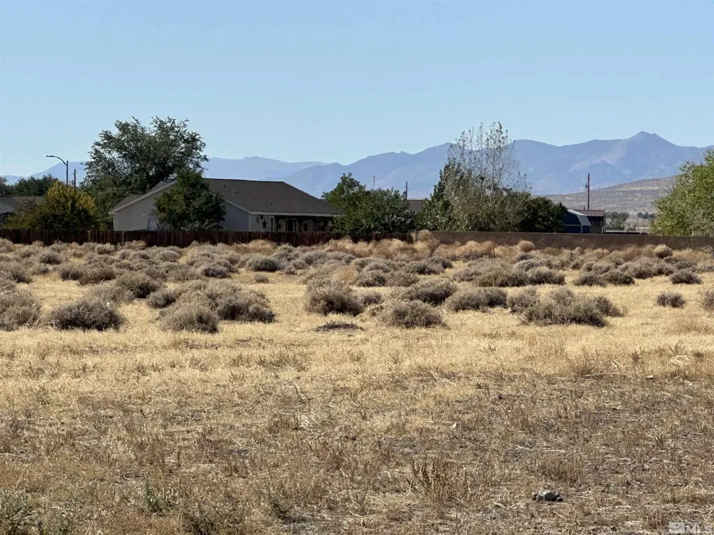 01516108 Idaho Silver Springs NV 89429