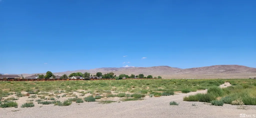 01516108 Idaho Silver Springs NV 89429