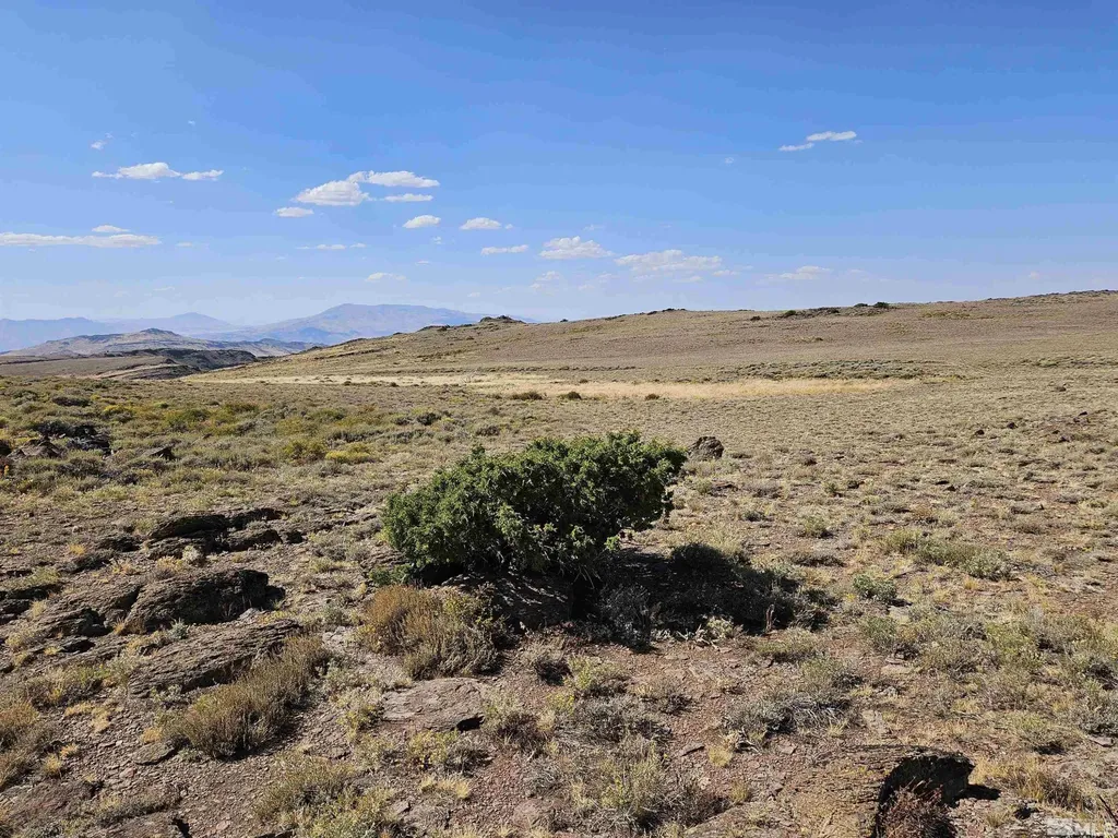 80 Rodero Reno NV 89510
