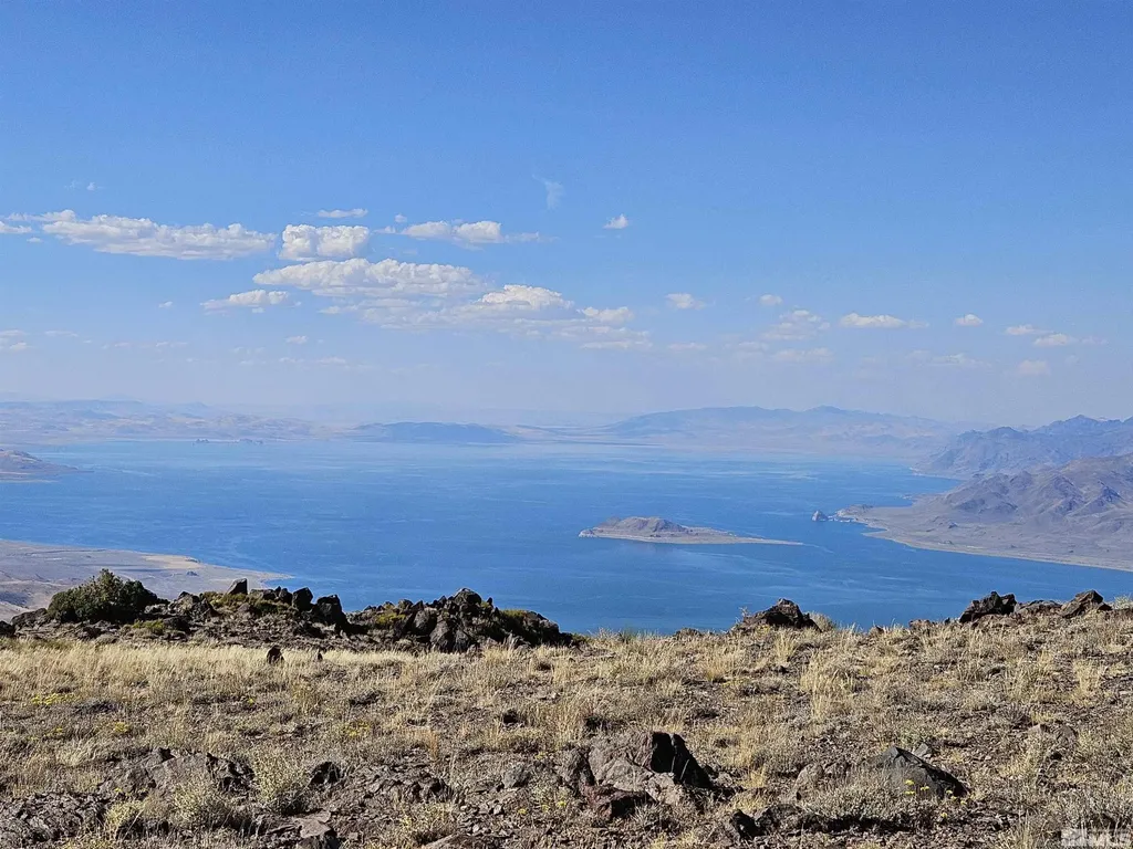 80 Rodero Reno NV 89510