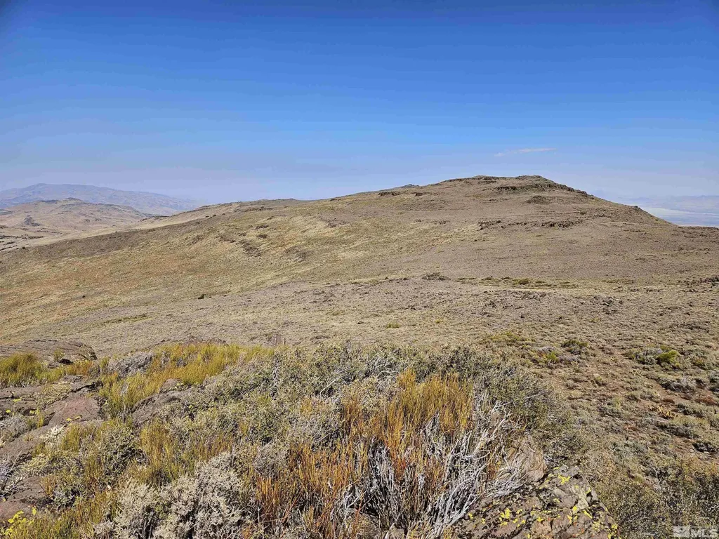 80 Rodero Reno NV 89510