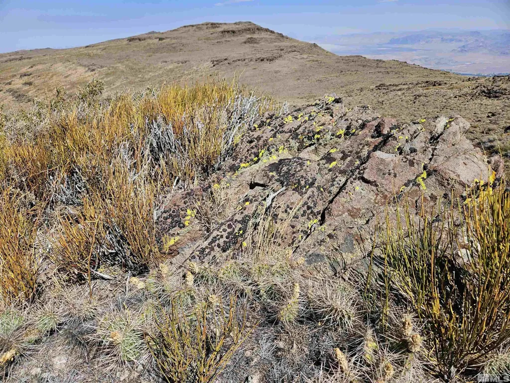 80 Rodero Reno NV 89510