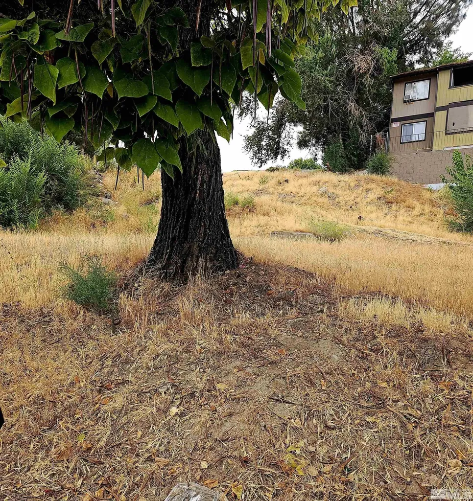 2065 Wedekind Reno NV 89512