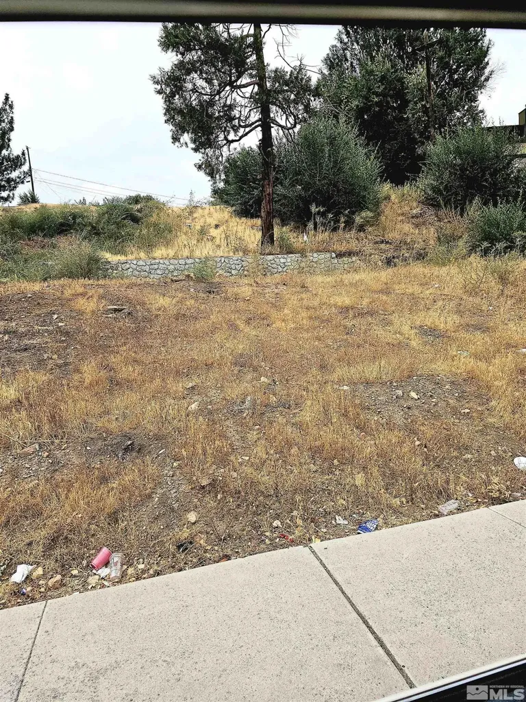 2065 Wedekind Reno NV 89512