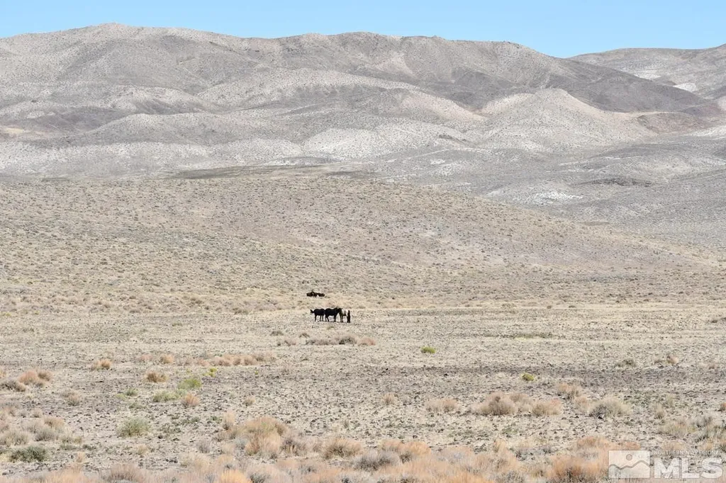 06 Highway 95a Fernley NV 89408