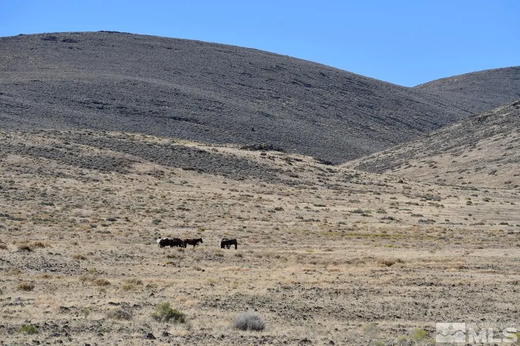 06 Highway 95a Fernley NV 89408