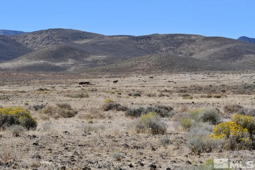 06 Highway 95a Fernley NV 89408