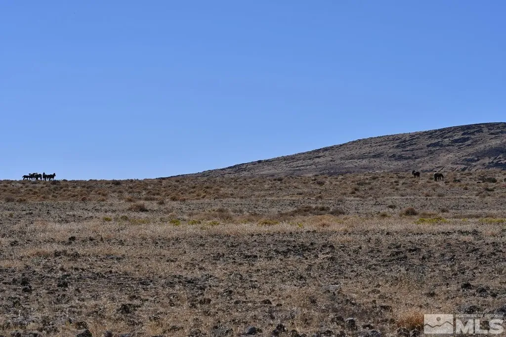 06 Highway 95a Fernley NV 89408