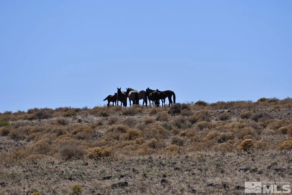 06 Highway 95a Fernley NV 89408