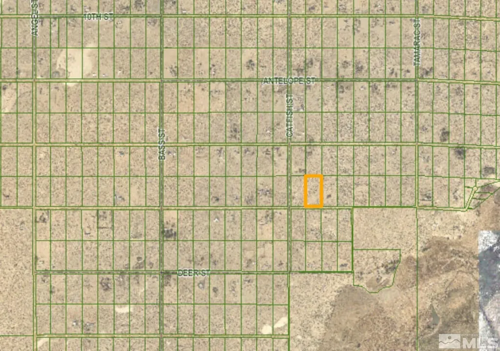 2590 Cougar Silver Springs NV 89429