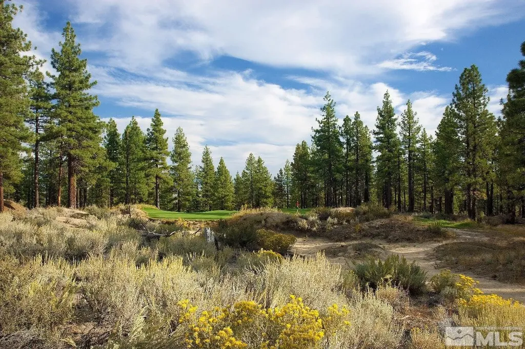 292 Gray Mill Carson City NV 89705