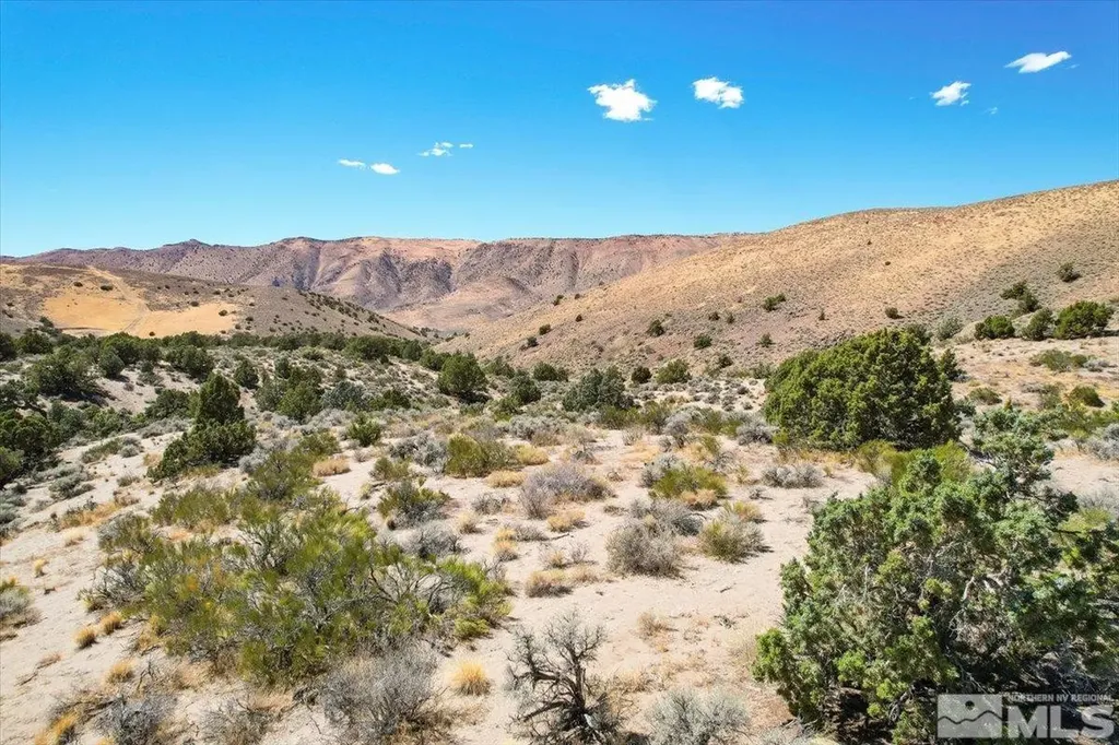 75 Wootton Downs Sparks NV 89441