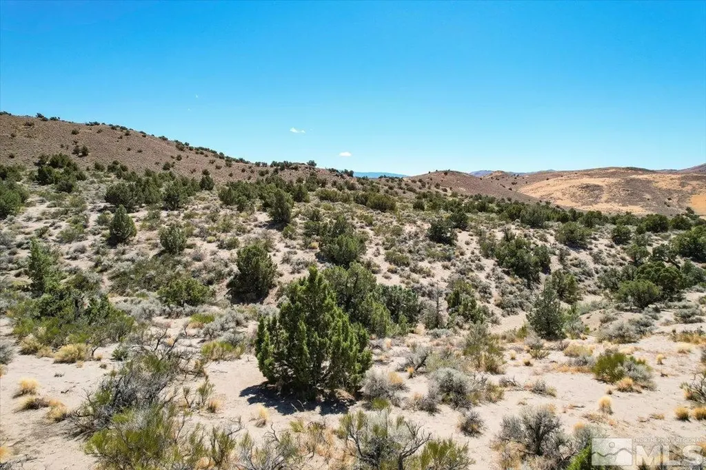 75 Wootton Downs Sparks NV 89441