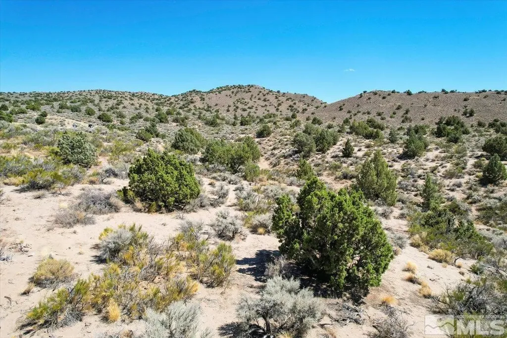 75 Wootton Downs Sparks NV 89441