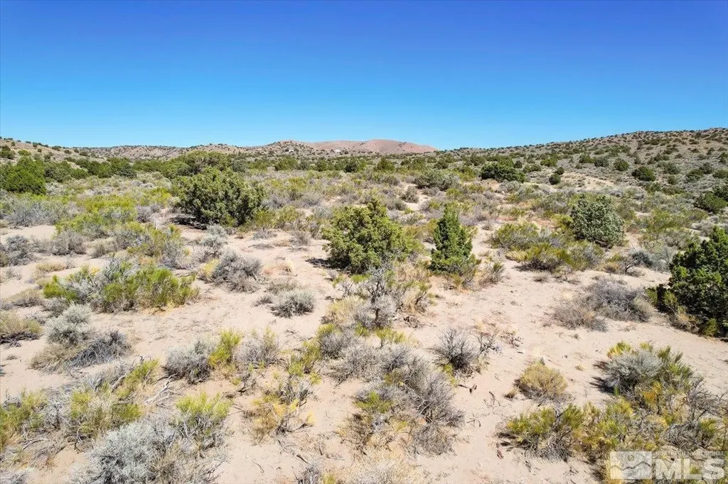 75 Wootton Downs Sparks NV 89441