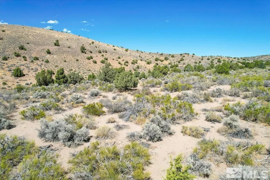 75 Wootton Downs Sparks NV 89441