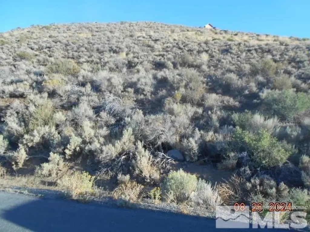 4340 Jumbo Grade Washoe Valley NV 89704