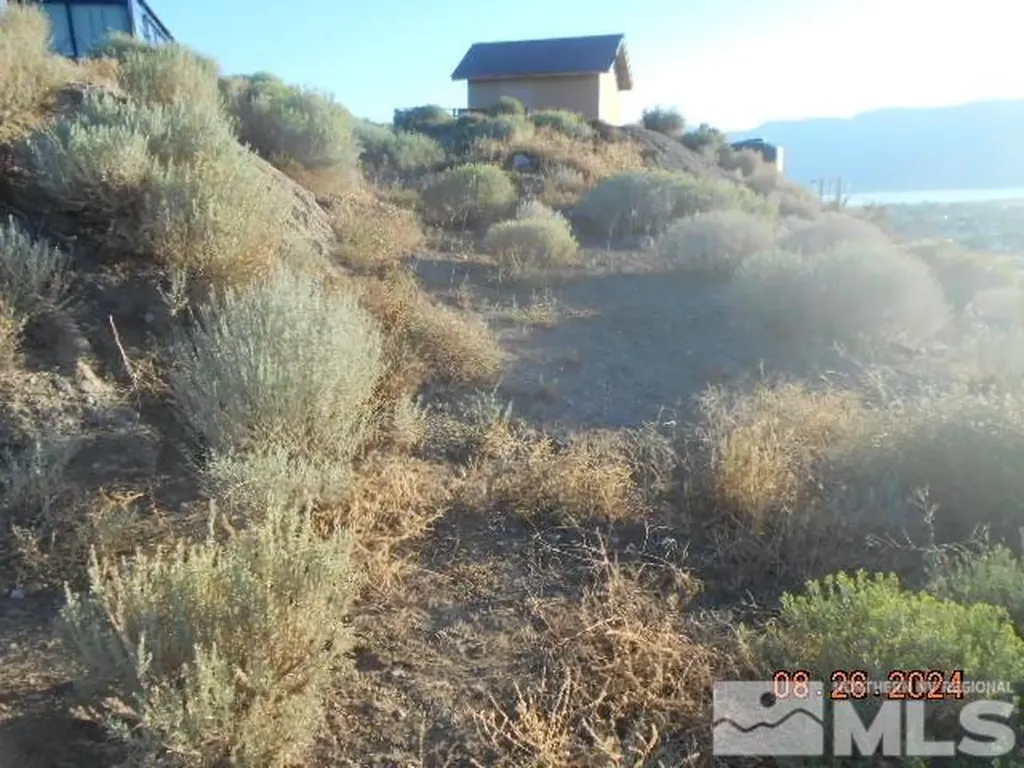 4340 Jumbo Grade Washoe Valley NV 89704