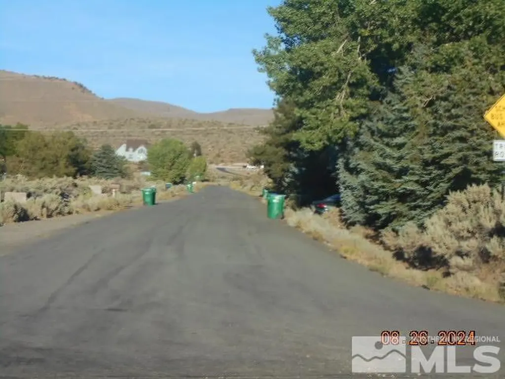 4340 Jumbo Grade Washoe Valley NV 89704