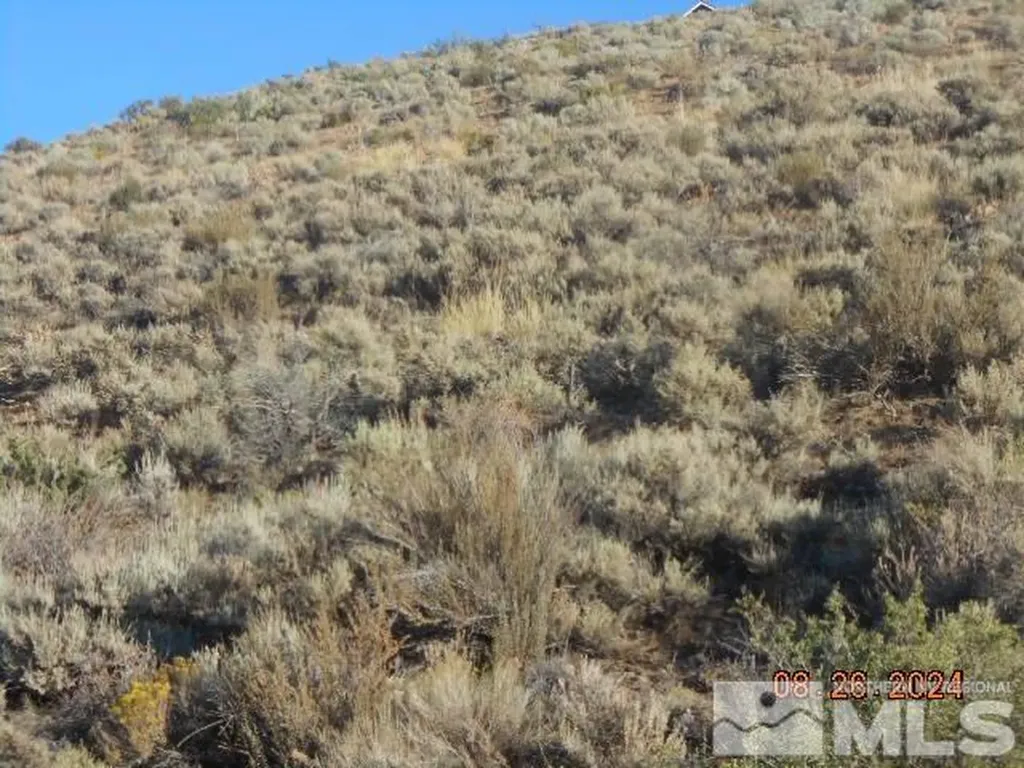 4340 Jumbo Grade Washoe Valley NV 89704