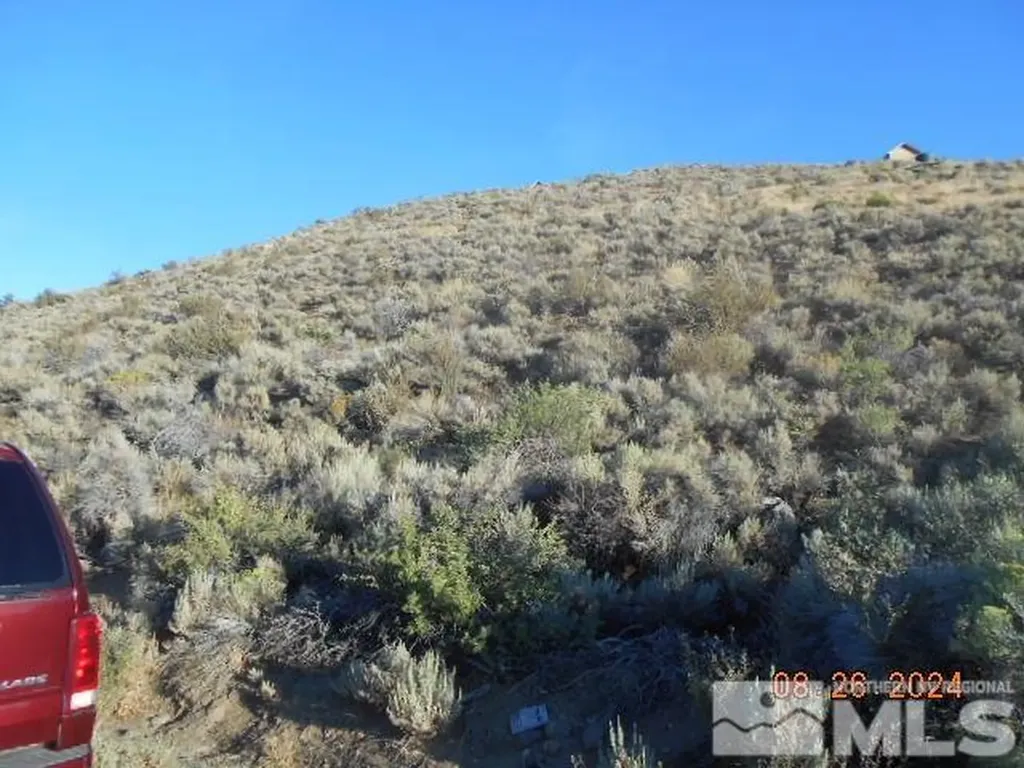 4340 Jumbo Grade Washoe Valley NV 89704