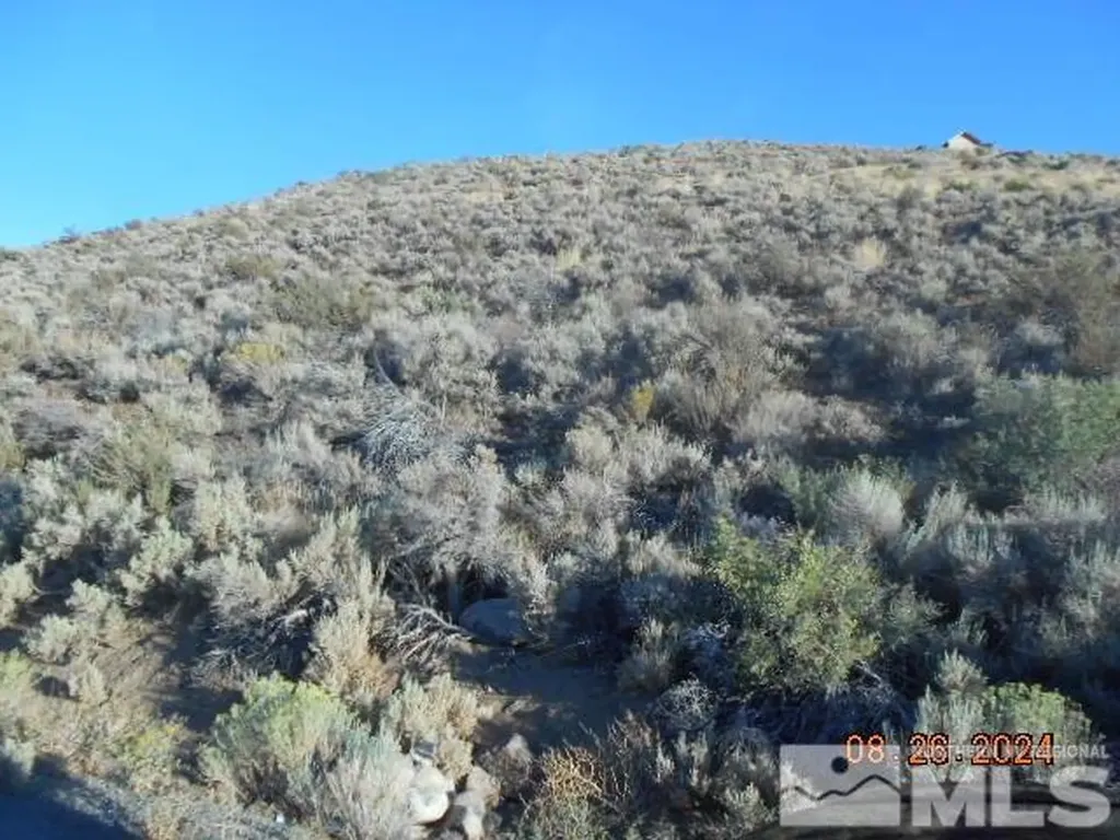 4340 Jumbo Grade Washoe Valley NV 89704