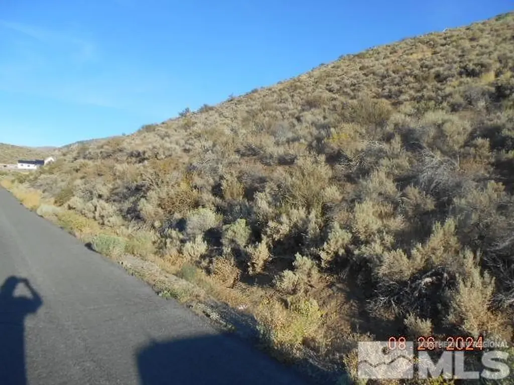 4340 Jumbo Grade Washoe Valley NV 89704