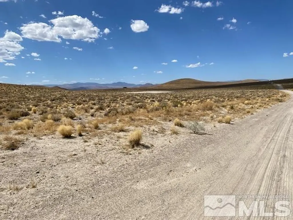 Apn 01565101 Silver Springs NV 89429