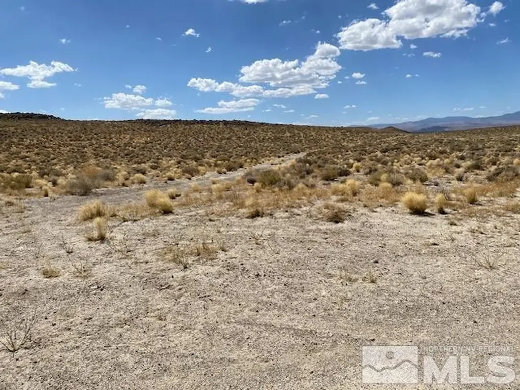 Apn 01565101 Silver Springs NV 89429