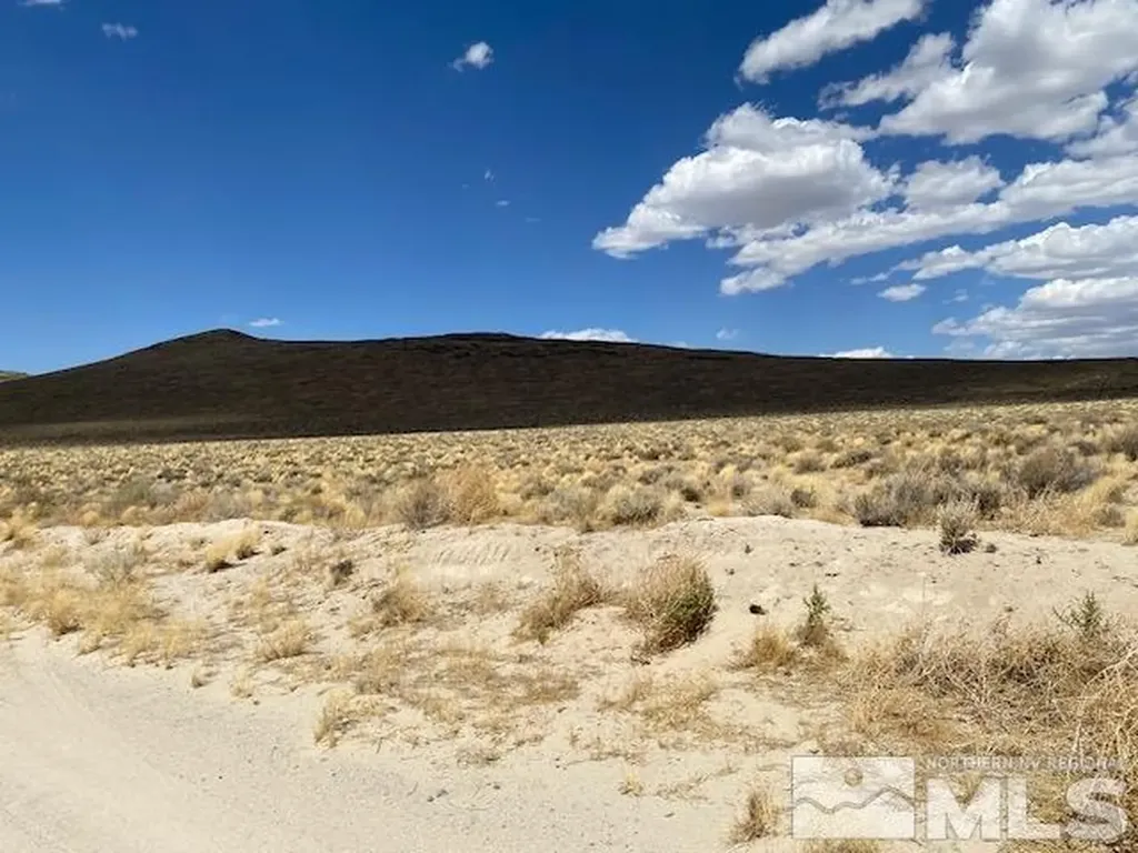 Apn 01565101 Silver Springs NV 89429