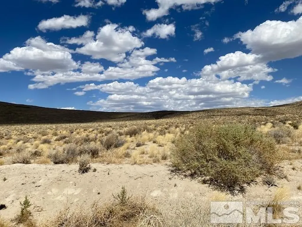 Apn 01565101 Silver Springs NV 89429
