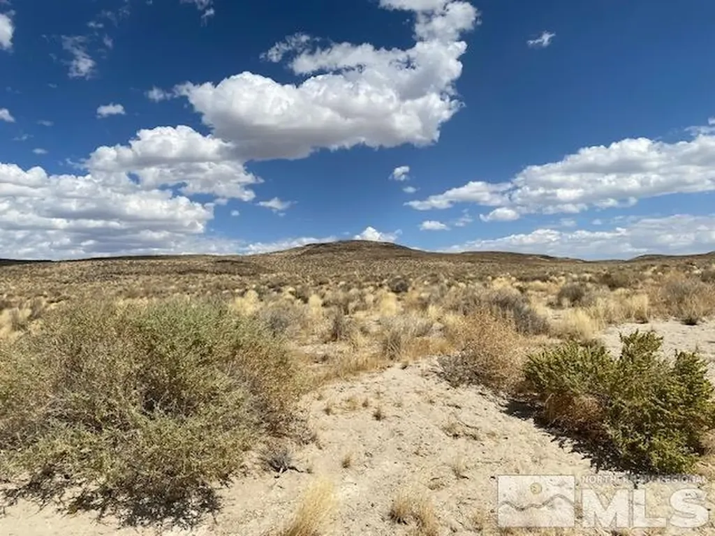 Apn 01565101 Silver Springs NV 89429