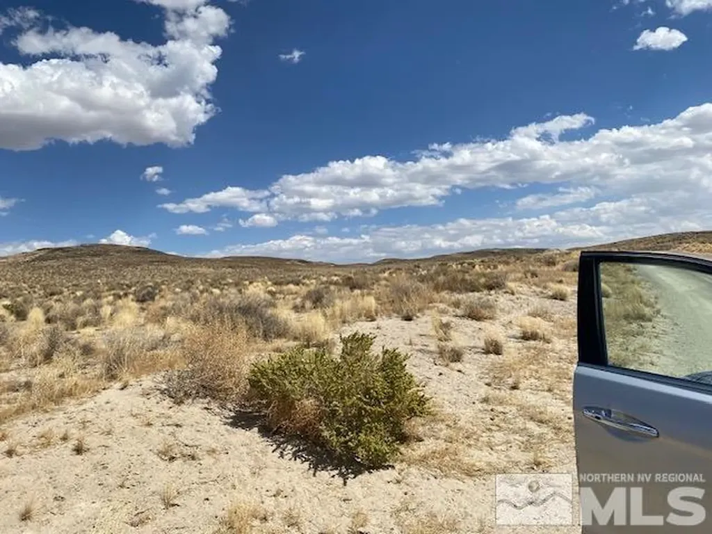 Apn 01565101 Silver Springs NV 89429